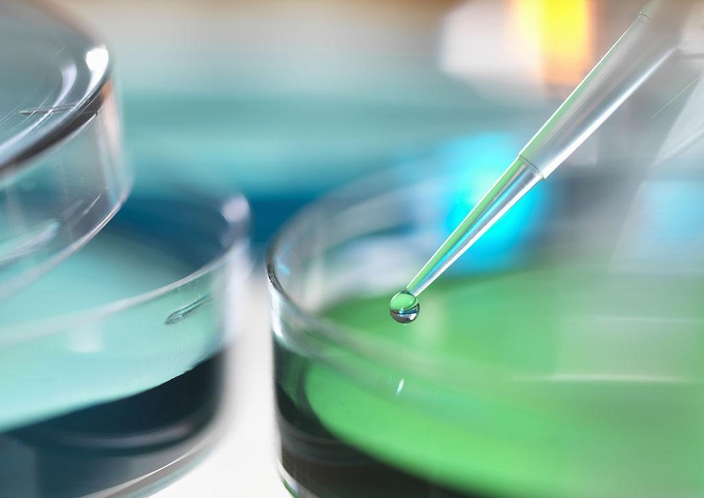 /jishuzhishi/77.html