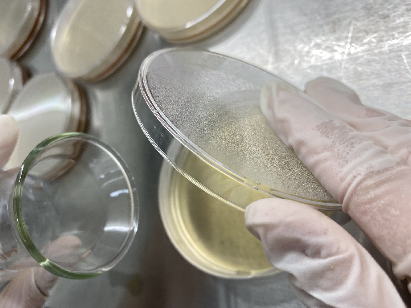 /jishuzhishi/79.html