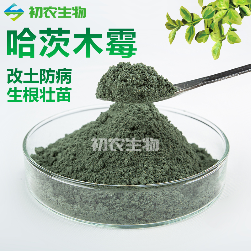 哈茨木霉（木霉類(lèi)）