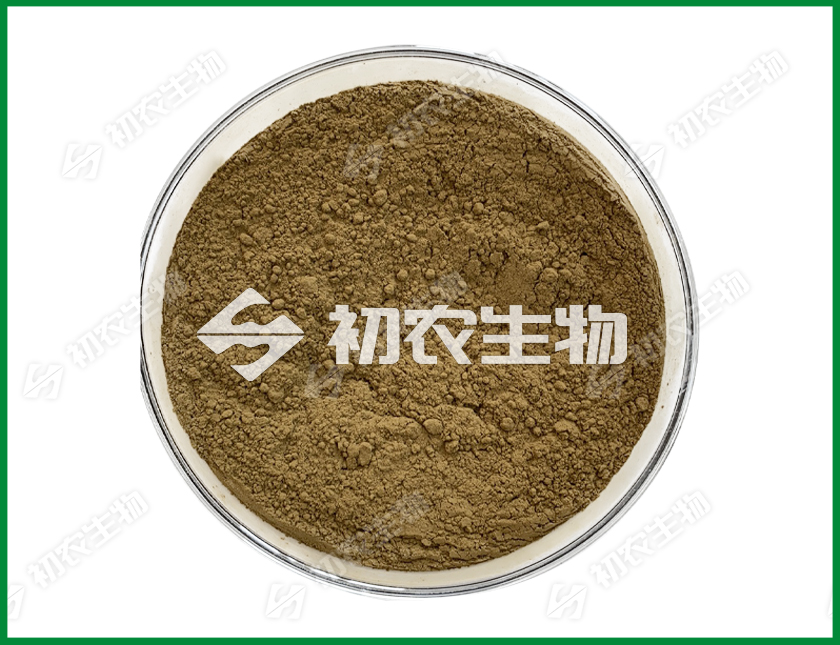 米曲霉（曲霉類）