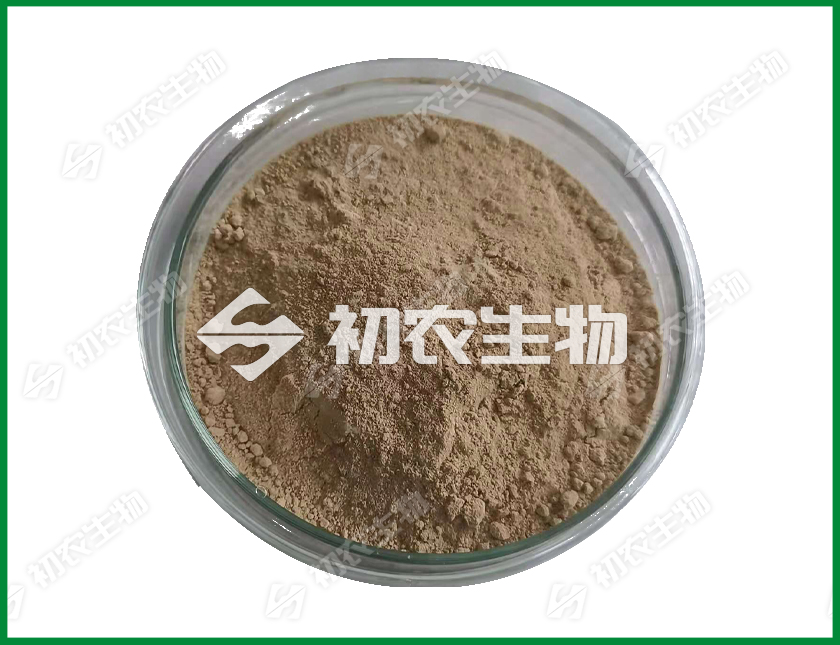 嗜熱側(cè)孢霉（高溫霉菌）