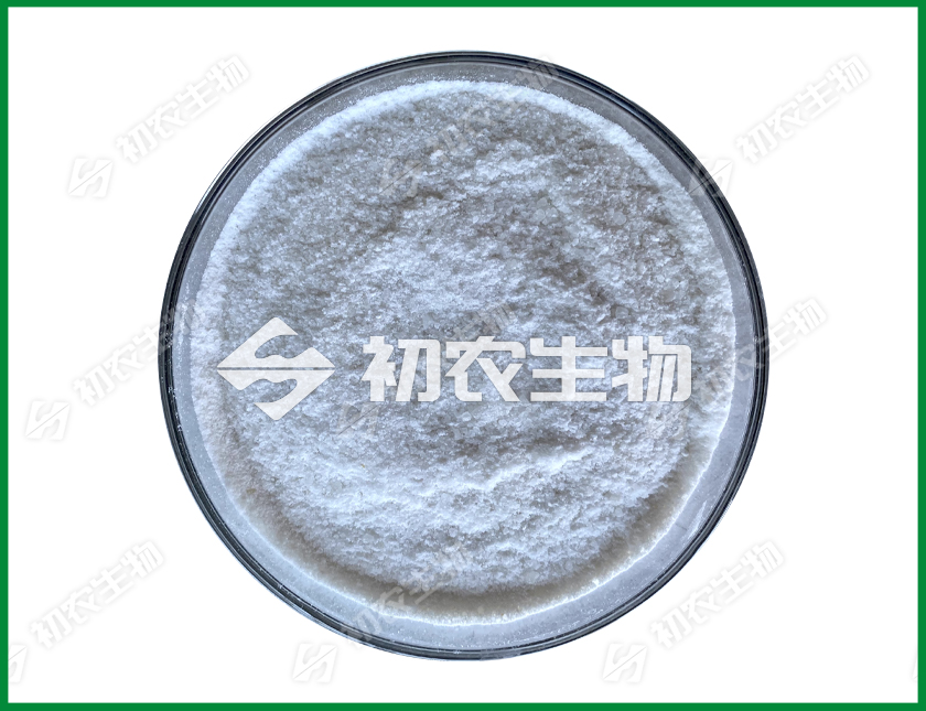 寡雄腐霉（腐霉類）